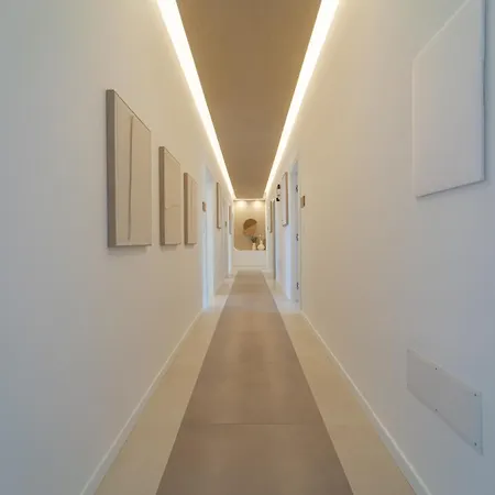 Sophora Αλγκέρο