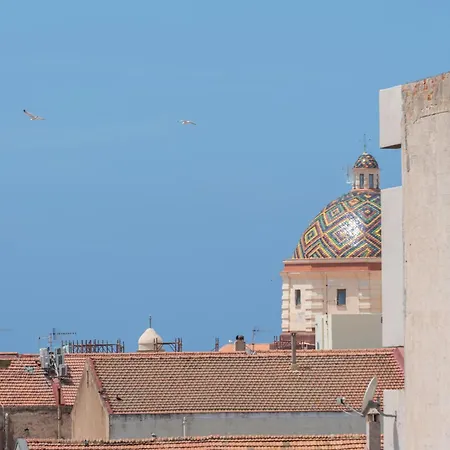 Sophora אלגהרו